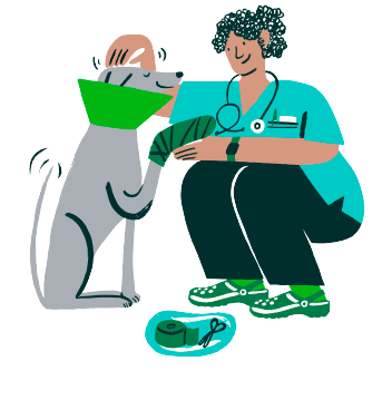 Vet caring for a poorly dog