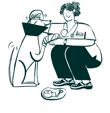 Vet caring for a poorly dog