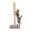Scratching Posts