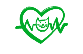 Vet Health Check Image