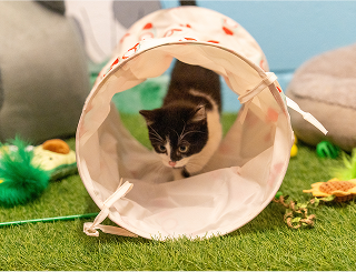 A photo of a kitten in a toy tunnel.