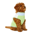 Collars, Leads & Clothing