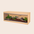 New Reptile Products