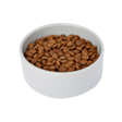 Senior Cat Food