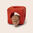 New in Small Animal