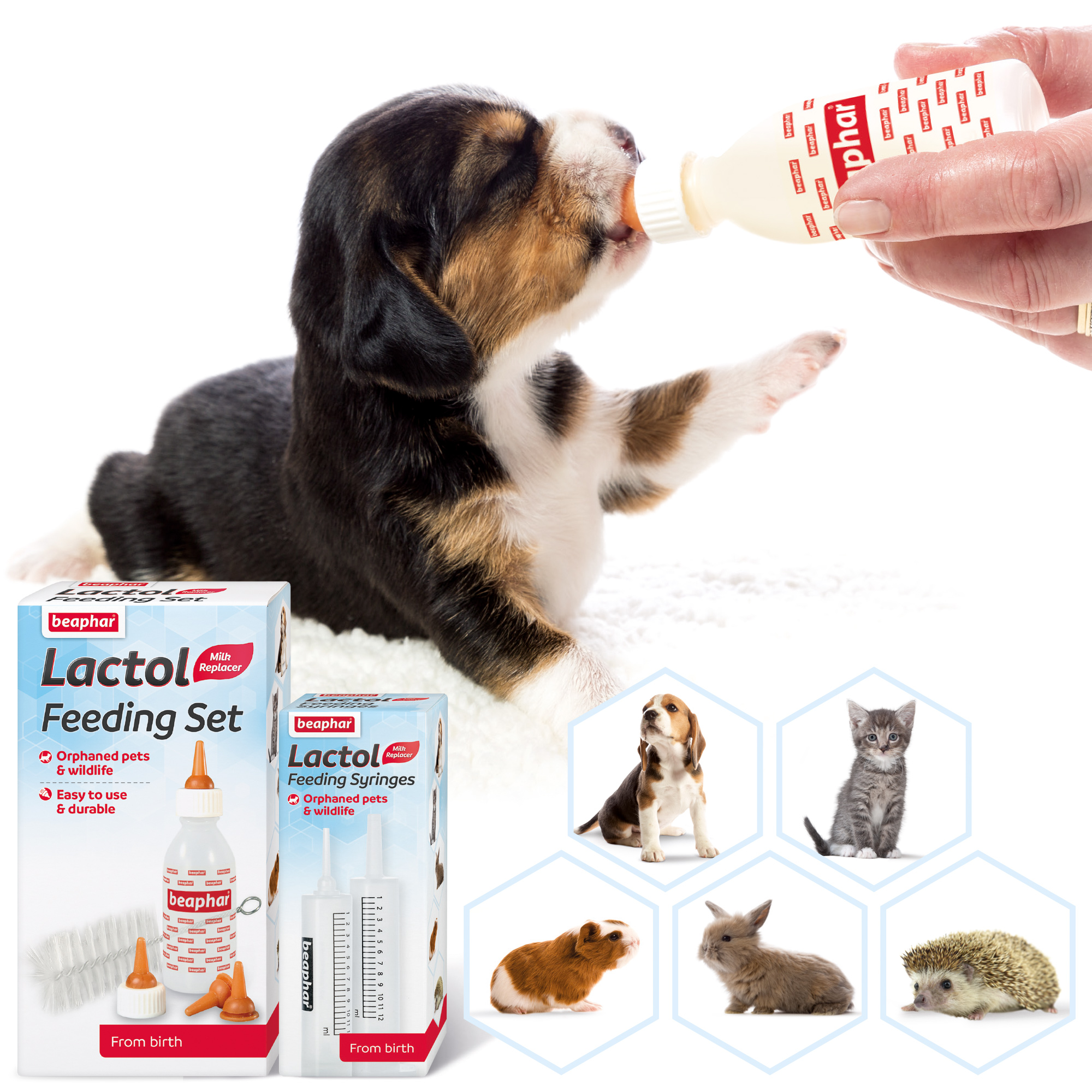 Beaphar Lactol Feeding Set for Puppies Kittens Pets