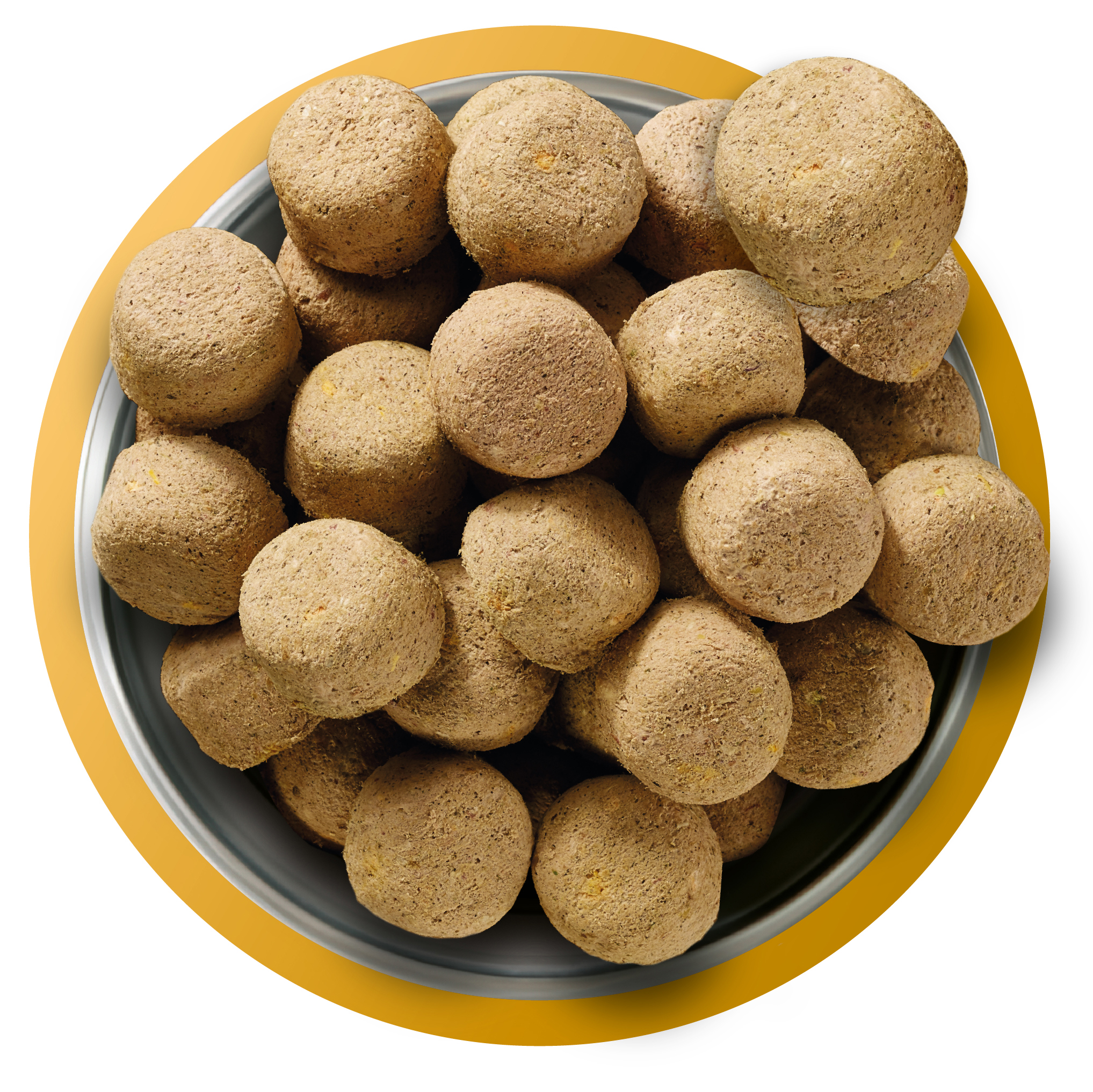 Natures Menu Complete and Balanced 80/20 Raw Freeze Dried Adult Dog Food Chicken 120g