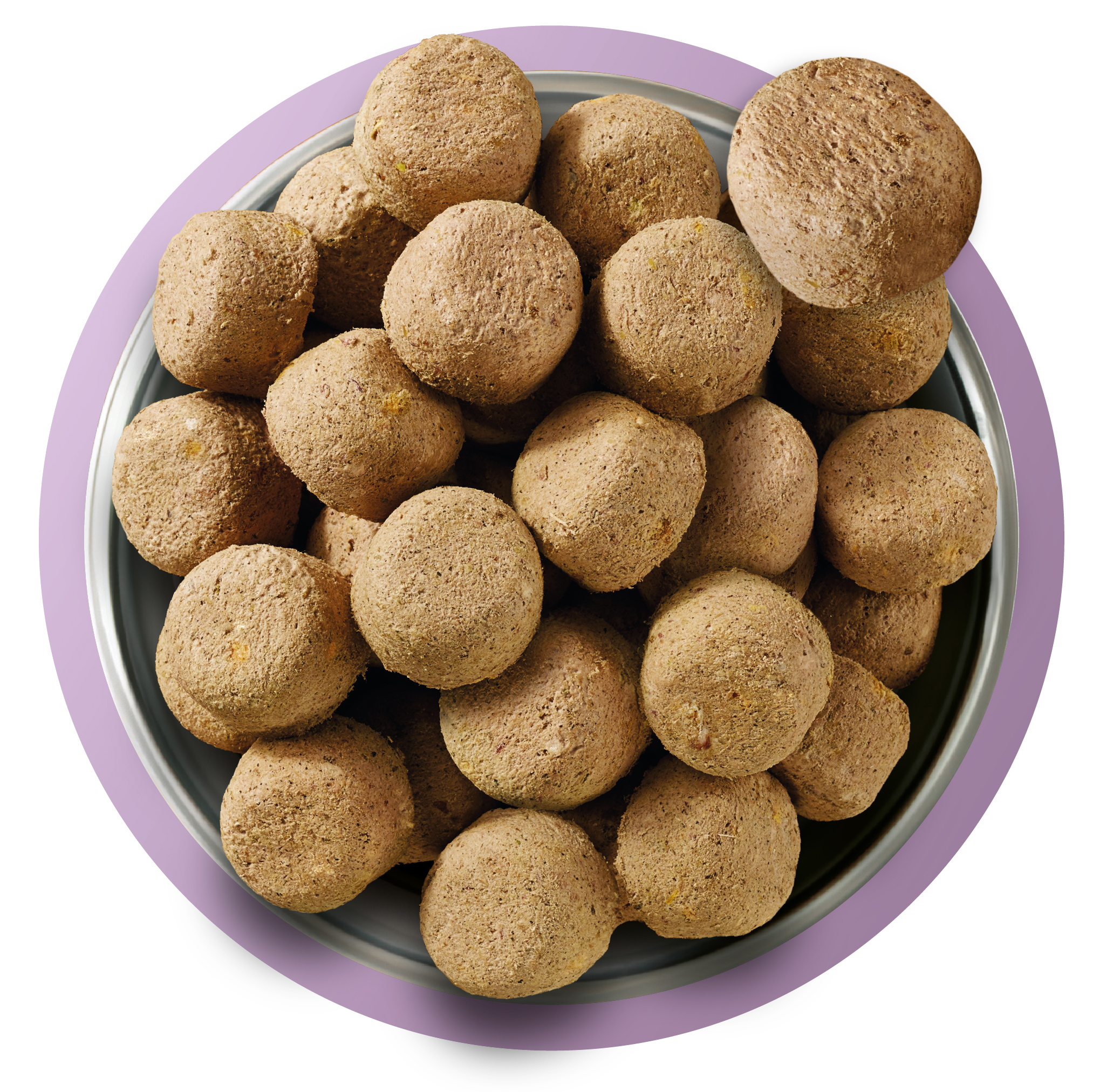 Natures Menu Complete and Balanced 80/20 Raw Freeze Dried Adult Dog Food Turkey 120g