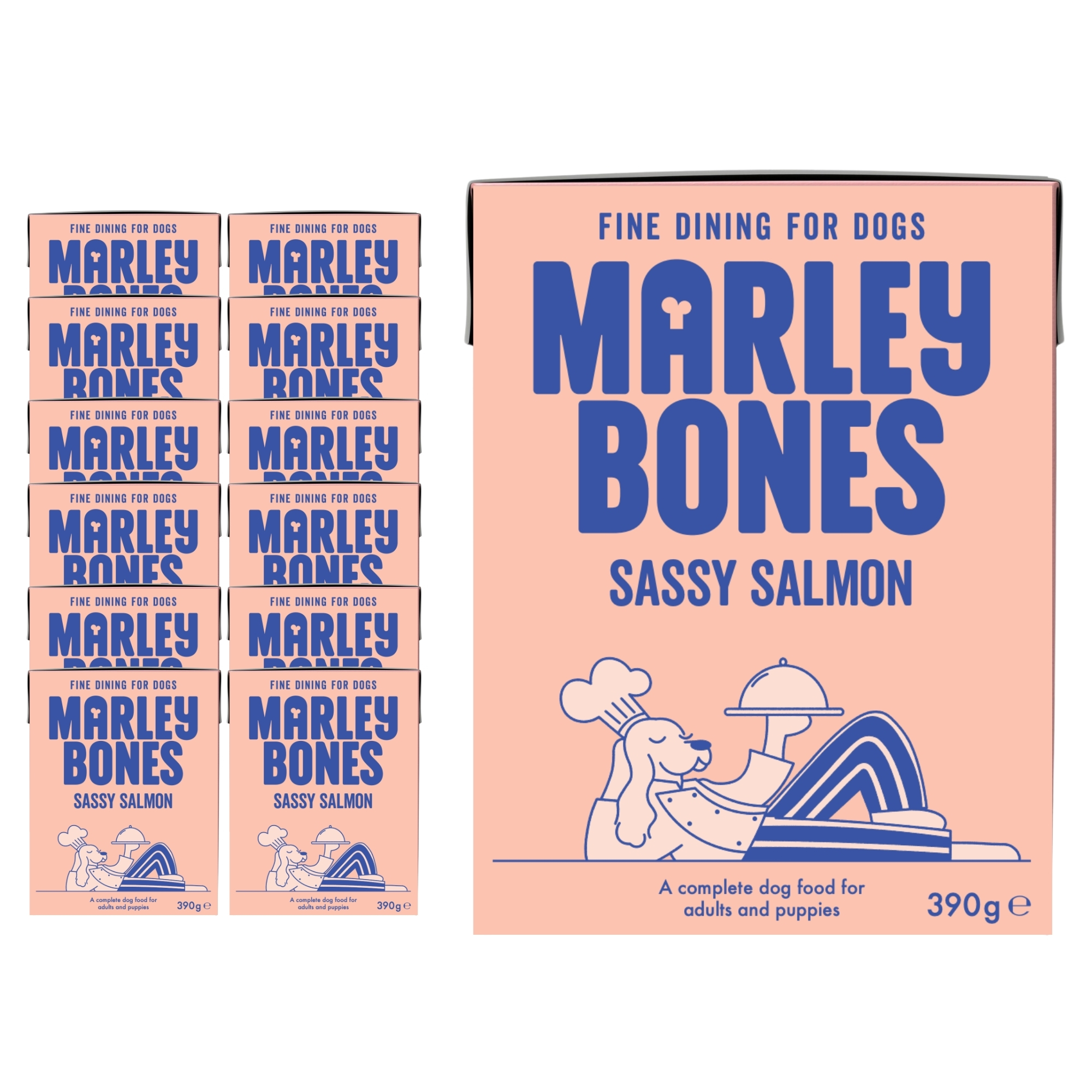 Marleybones Pantry Fresh Wet Dog Food Salmon & Superfoods Multipack