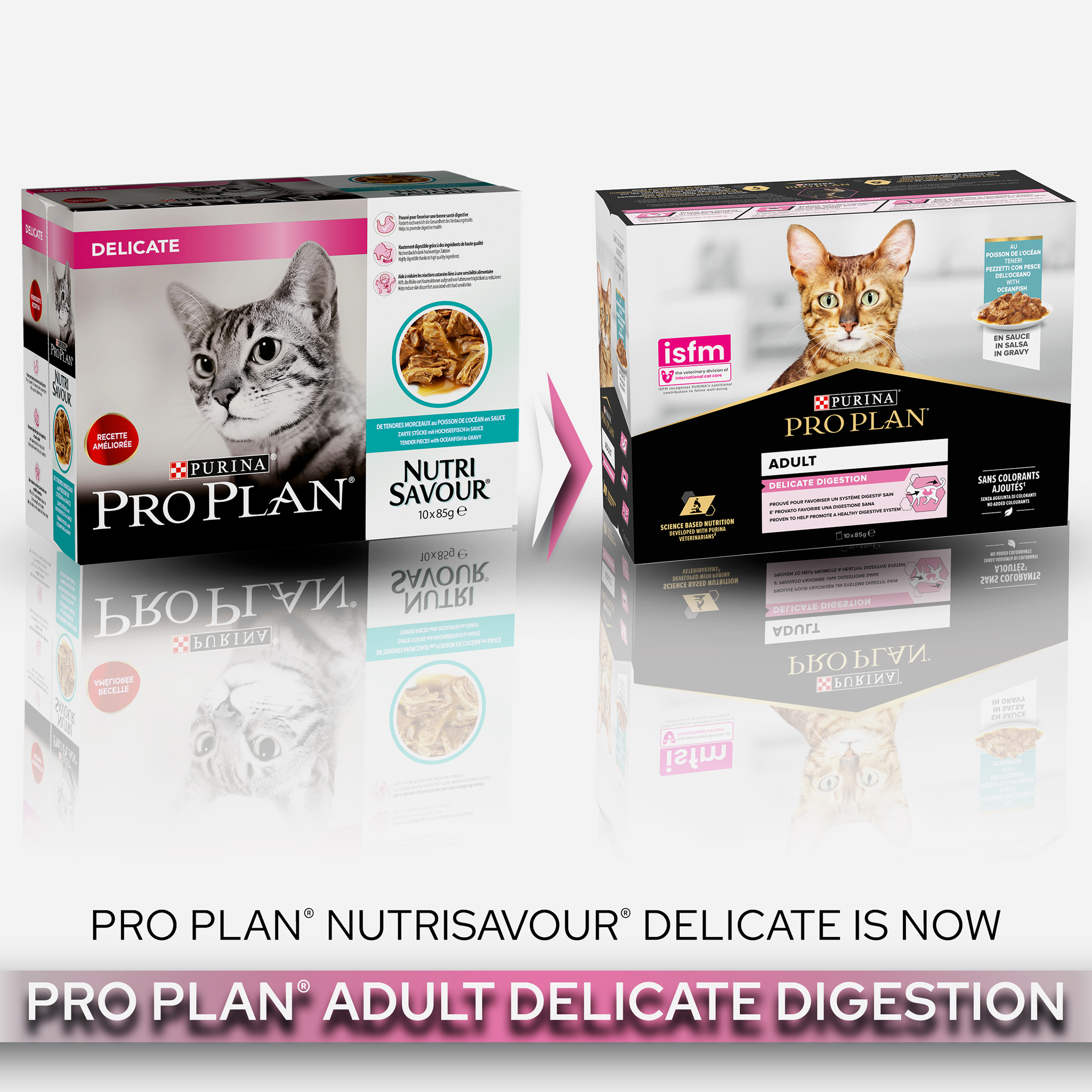 Pro plan delicate cat food best sale