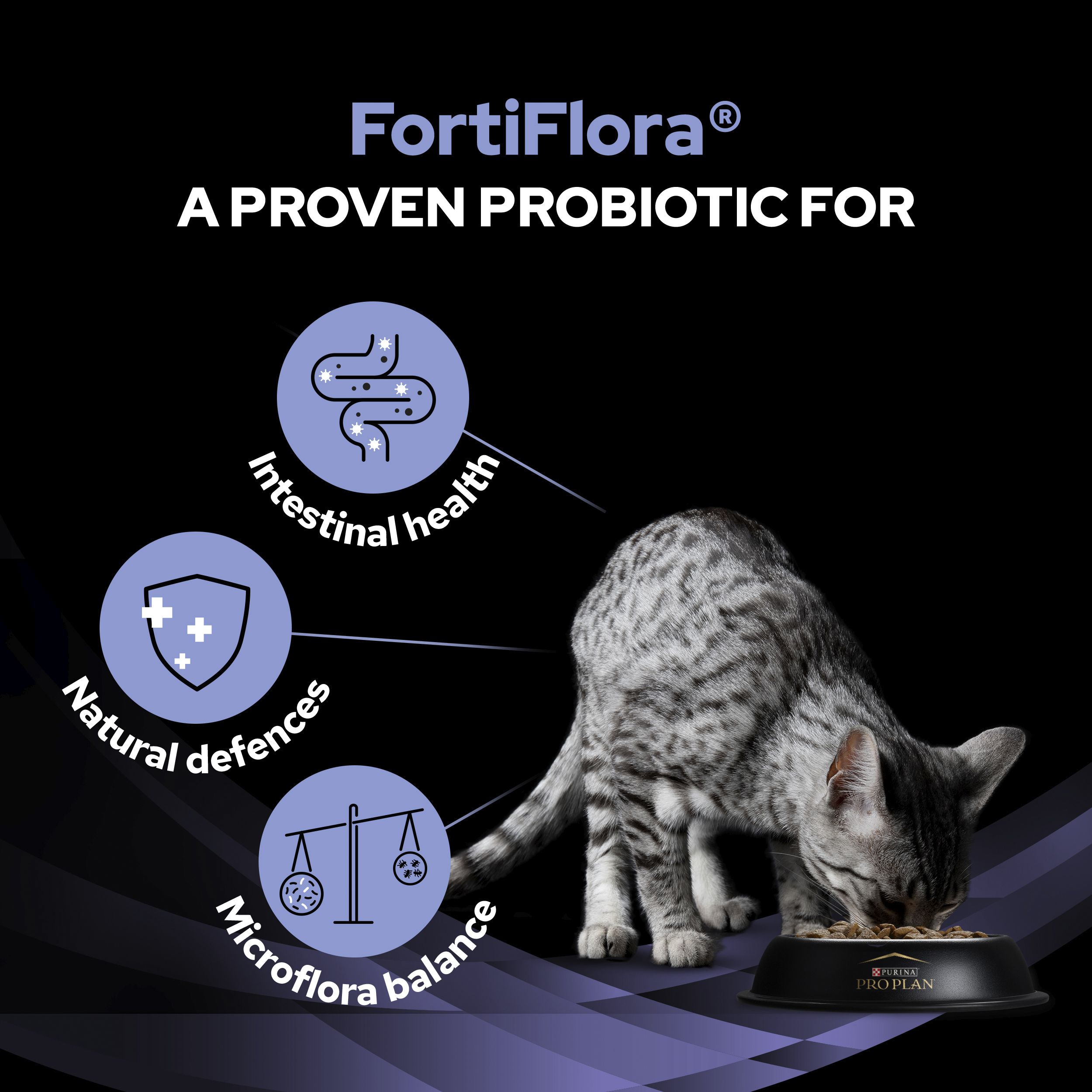 Pro Plan Vet Diet FortiFlora Cat Probiotic Sachet Pets