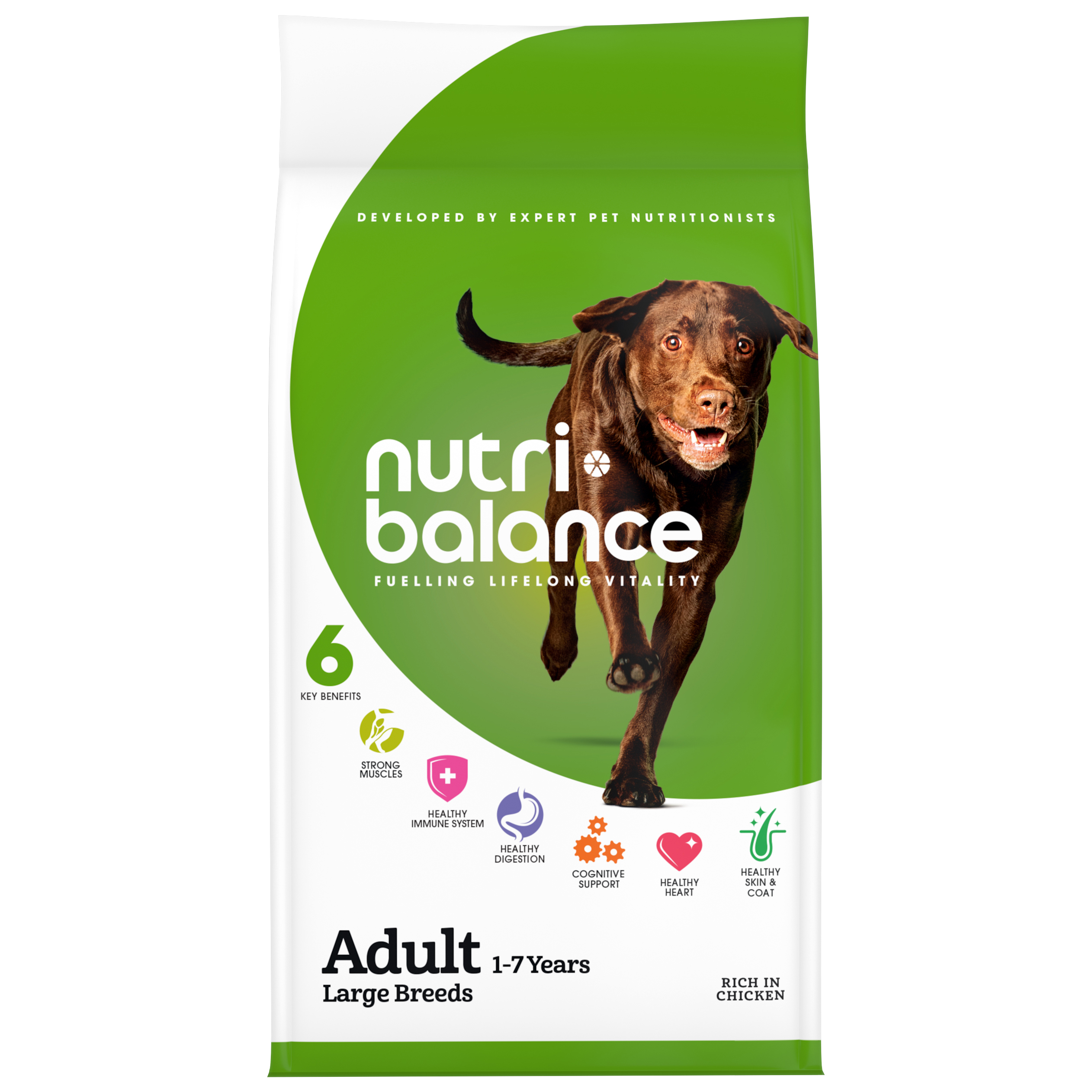 nutribalance Large Breed Adult Dry Dog Food Chicken | Pets