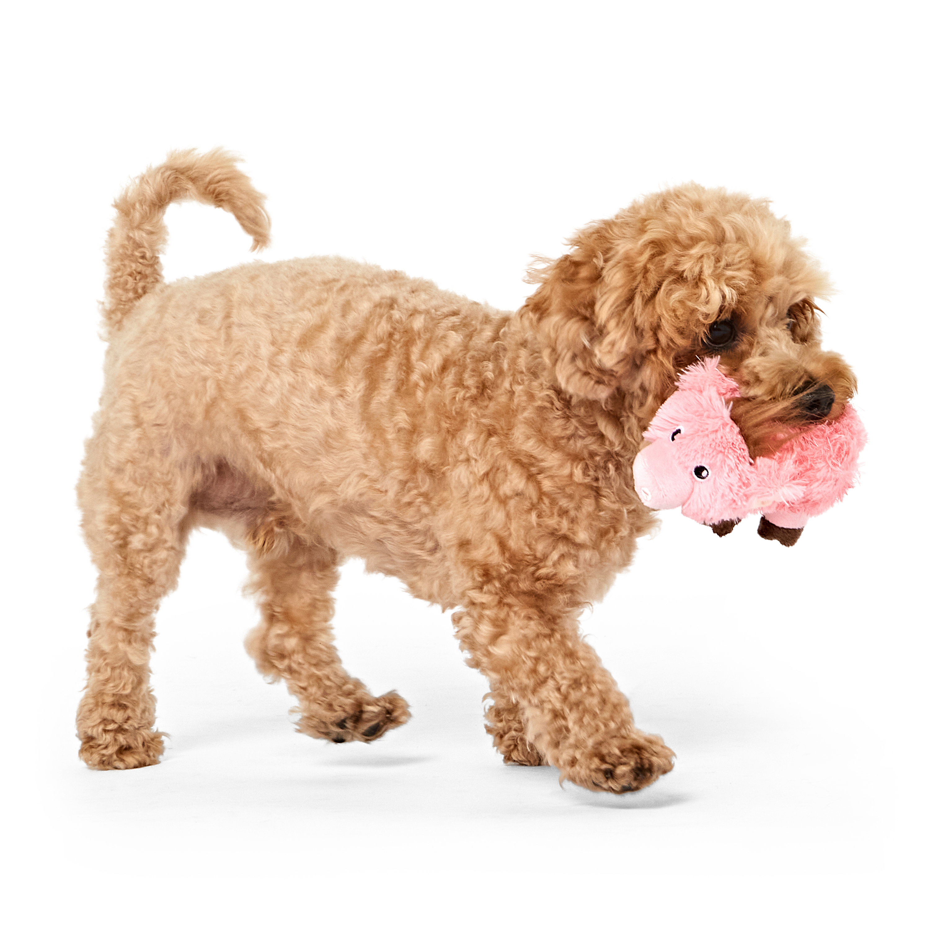 Image slide