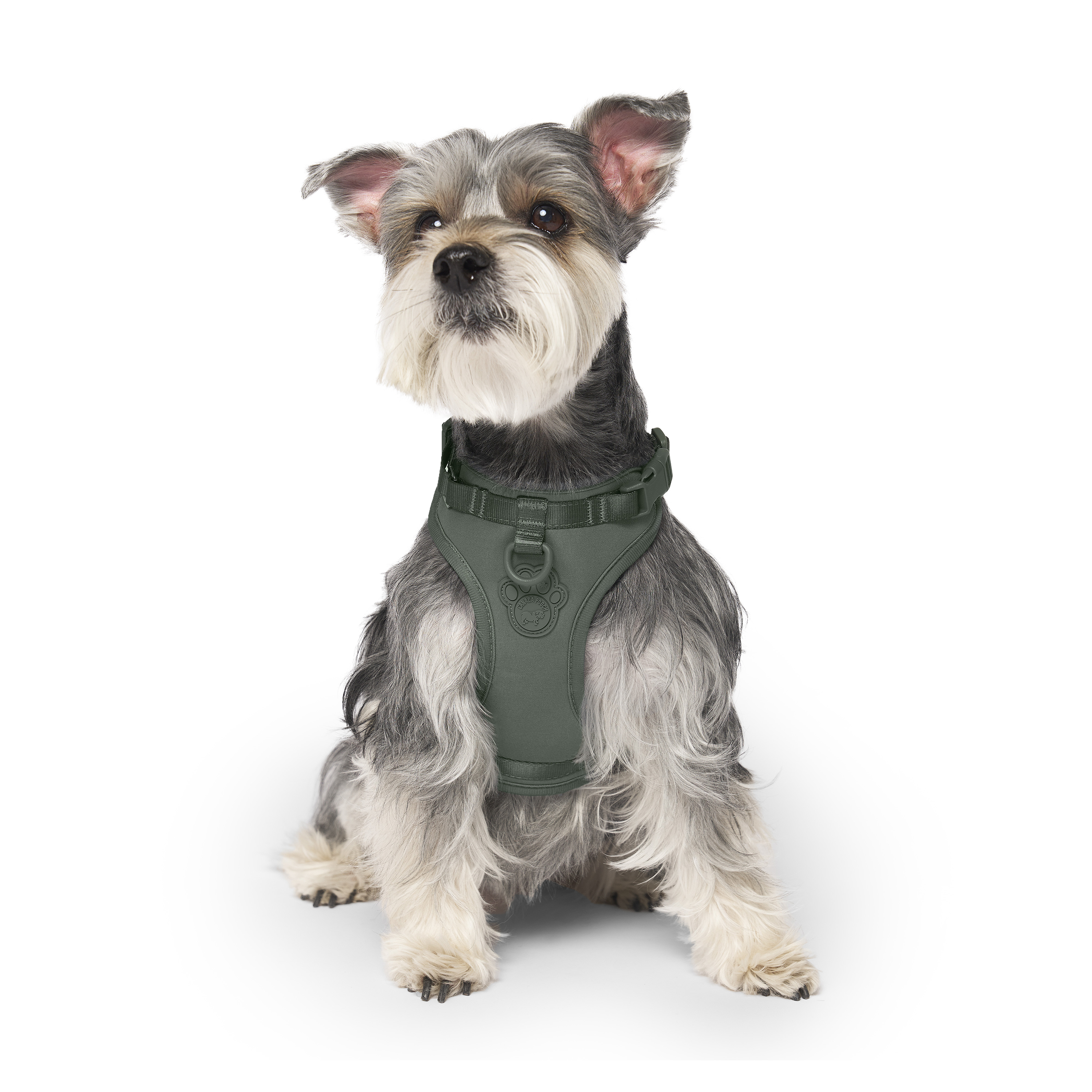 Canada Pooch Everything Dog Harness With Poop Bag Dispenser Forest Green