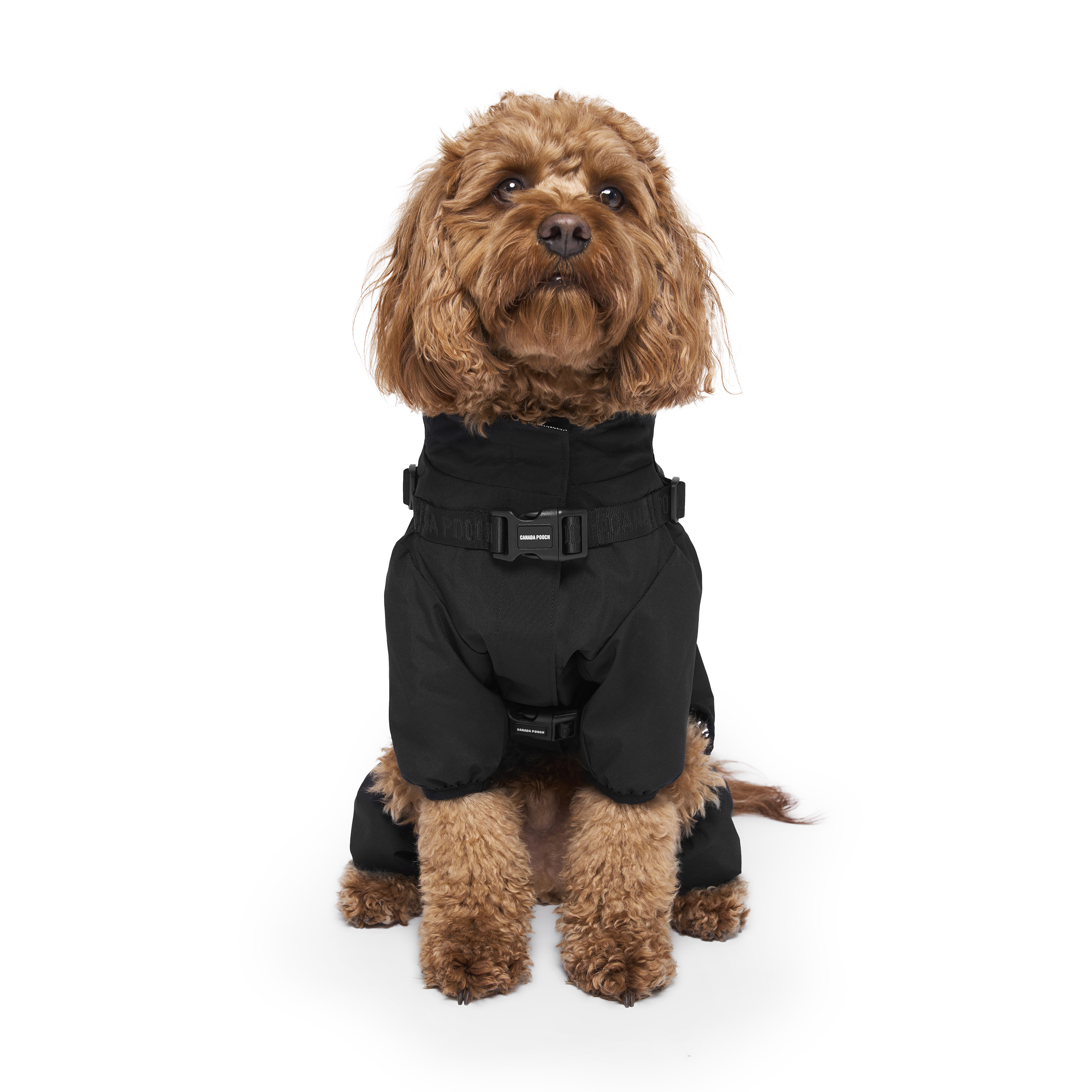 Canada Pooch Dog Snowsuit Harness Black