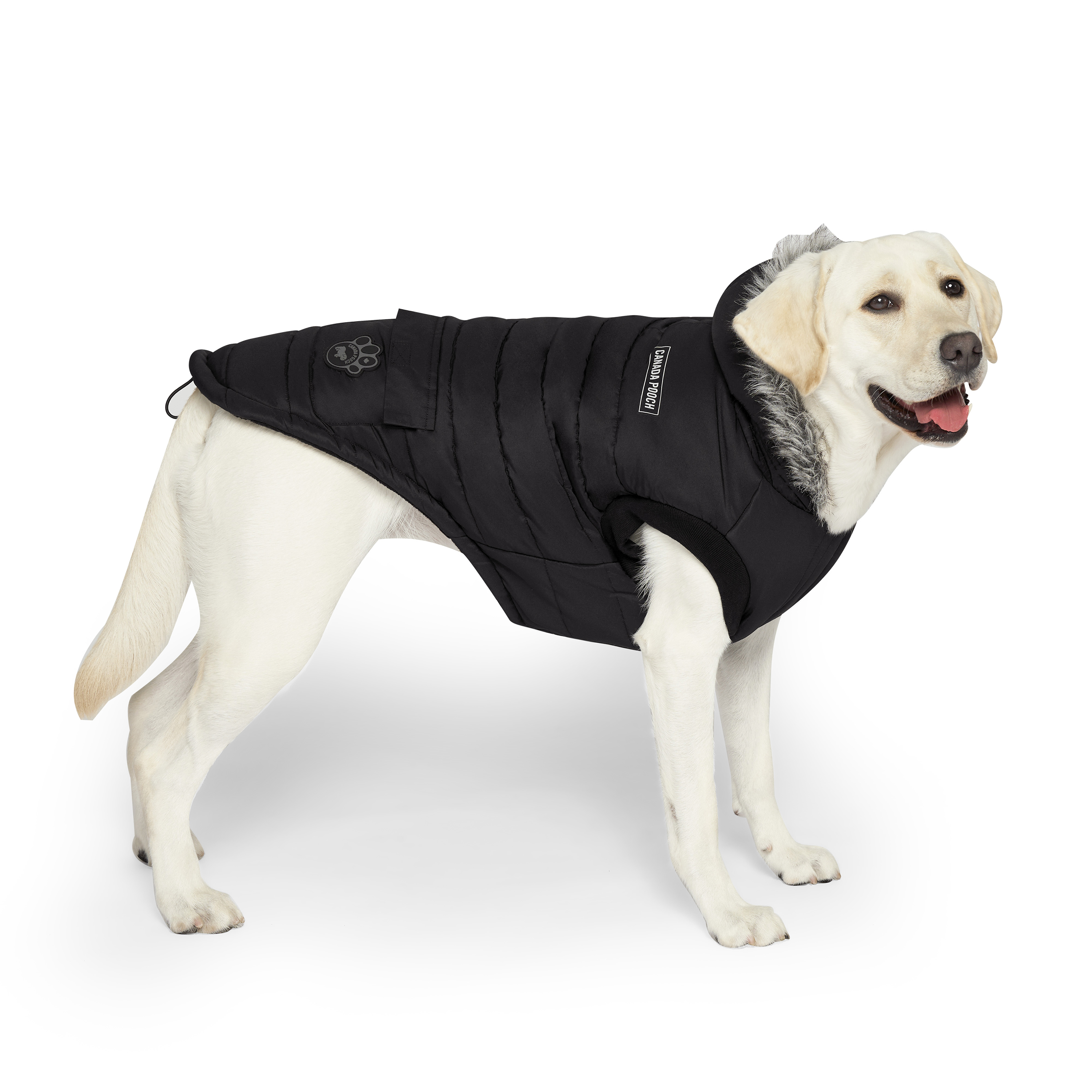 Dog coat canada sales