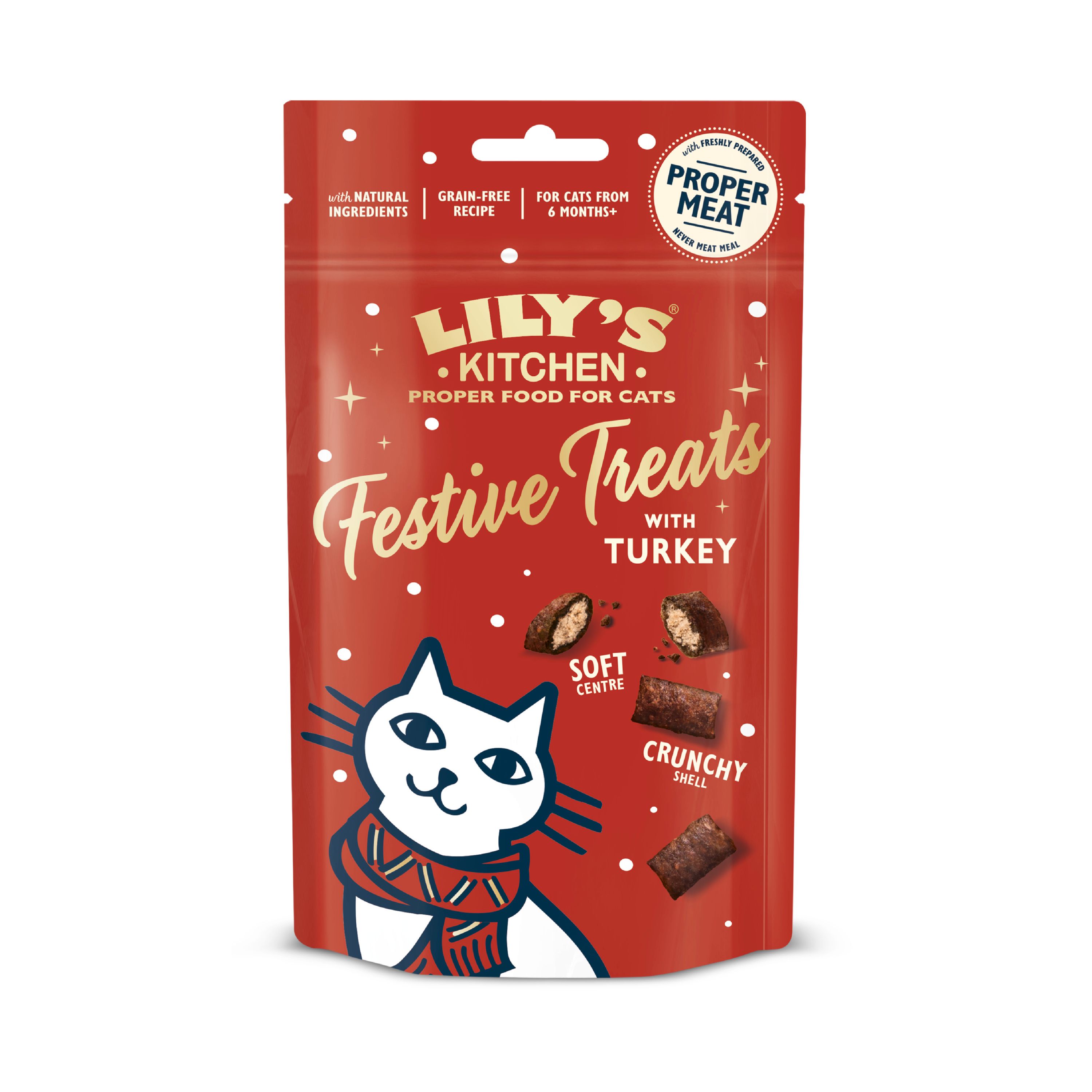 Lily's Kitchen Christmas Turkey Pillow Cat Treats