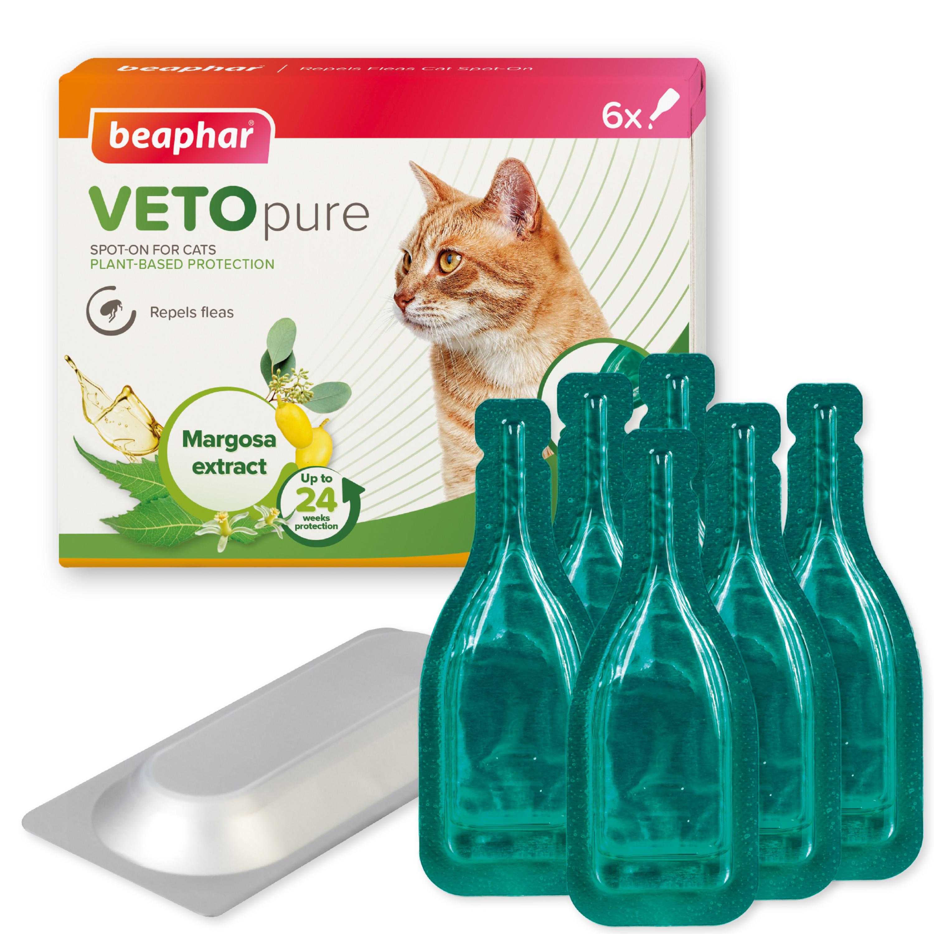 Kitten flea treatment pets at home best sale