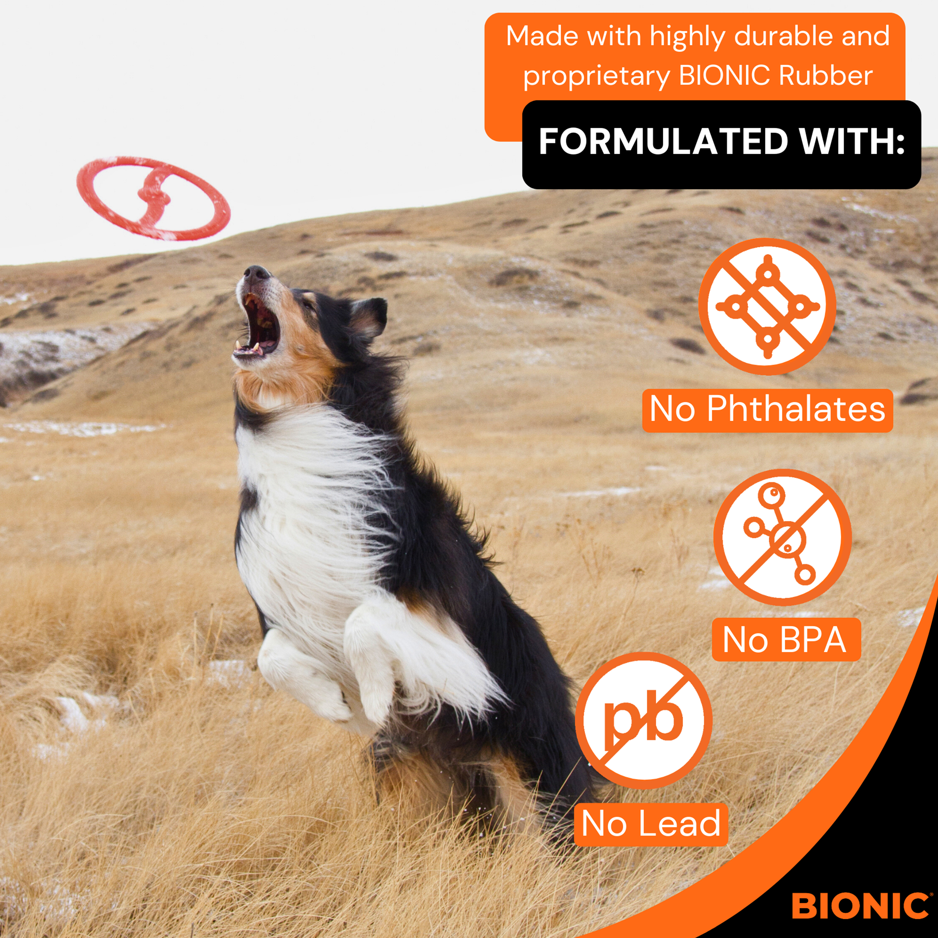 Image slide