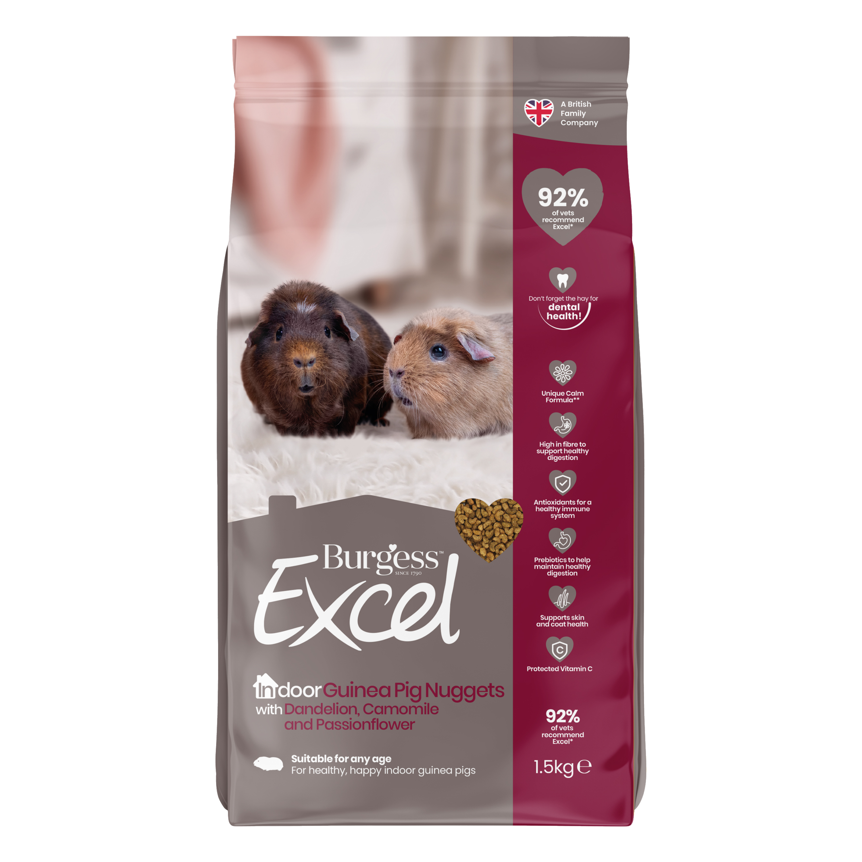Burgess Excel Indoor Guinea Pig Food Nuggets