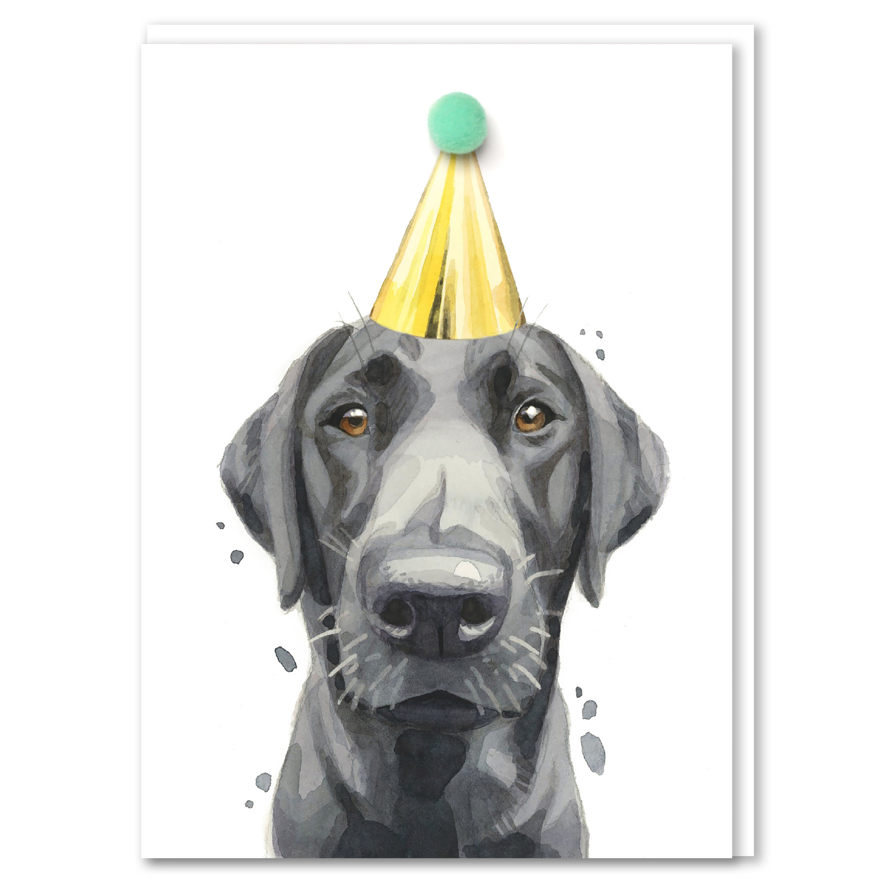 Robert James Hull Black Labrador Pompom Birthday Card
