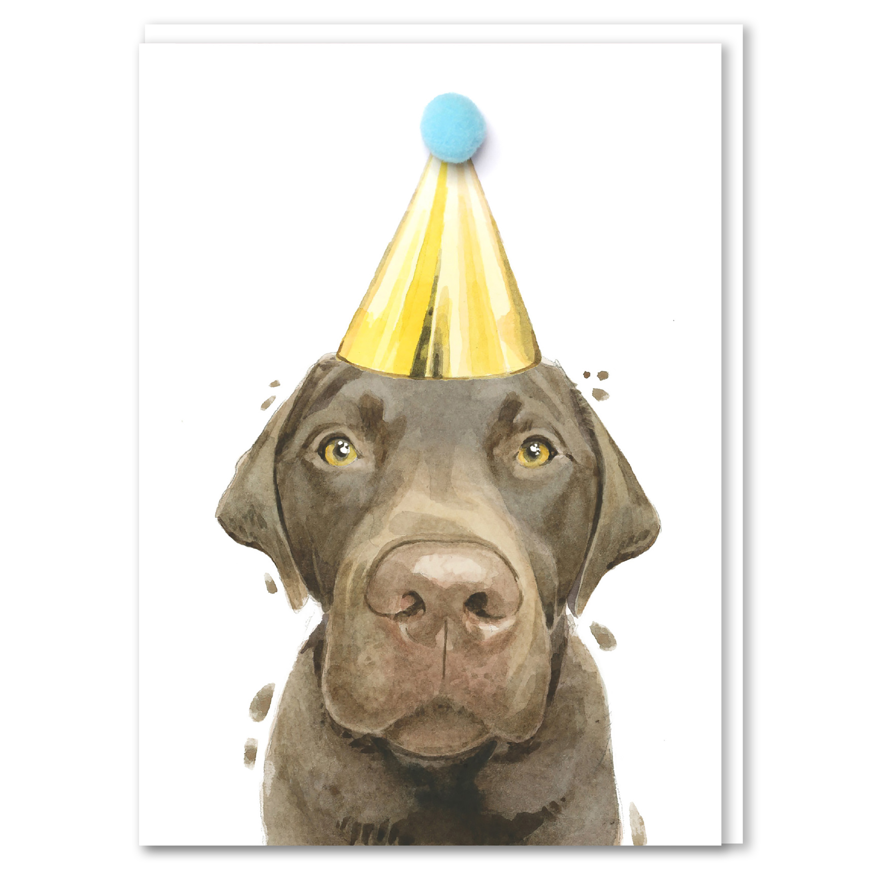 Robert James Hull Chocolate Labrador Pompom Birthday Card