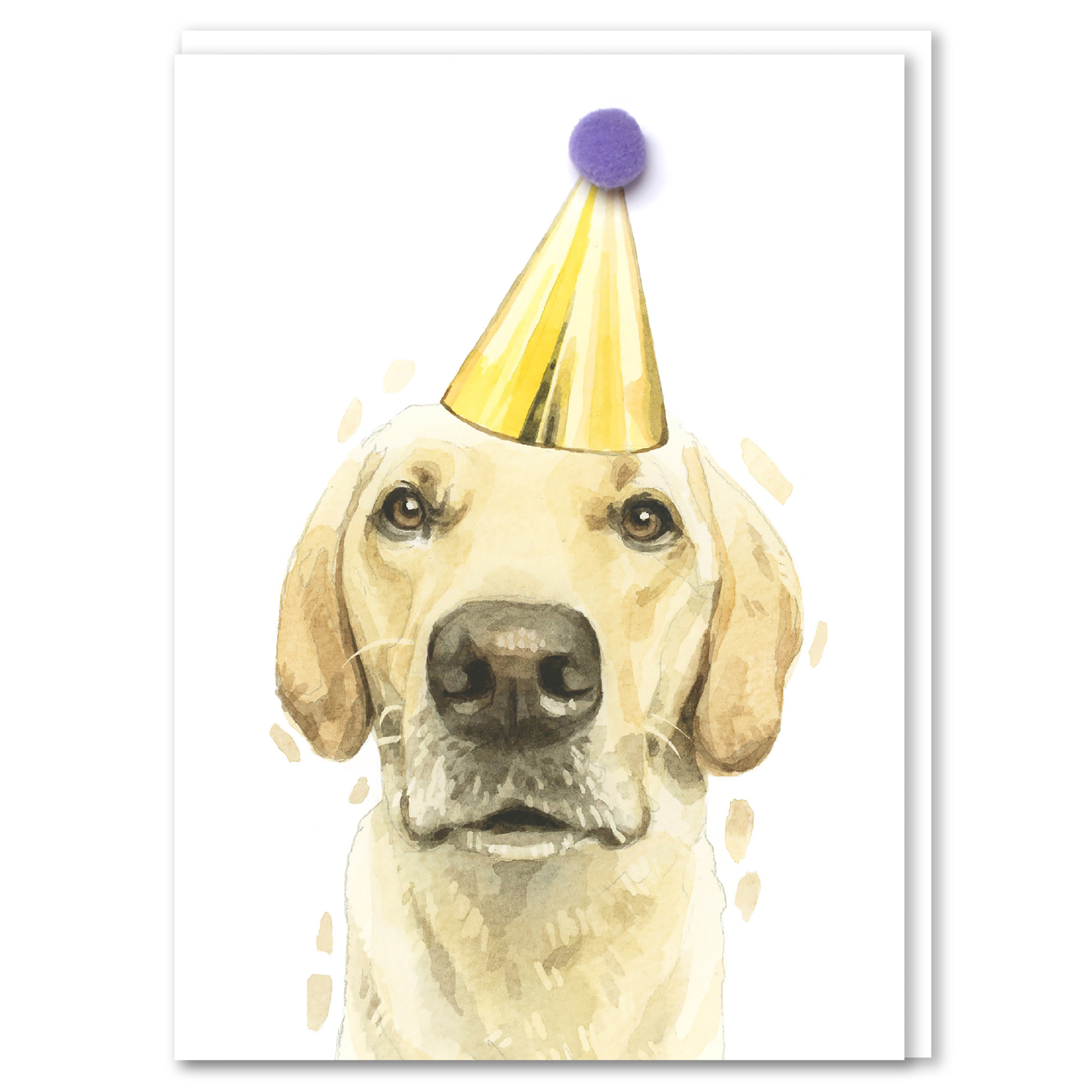 Robert James Hull Yellow Labrador Pompom Birthday Card
