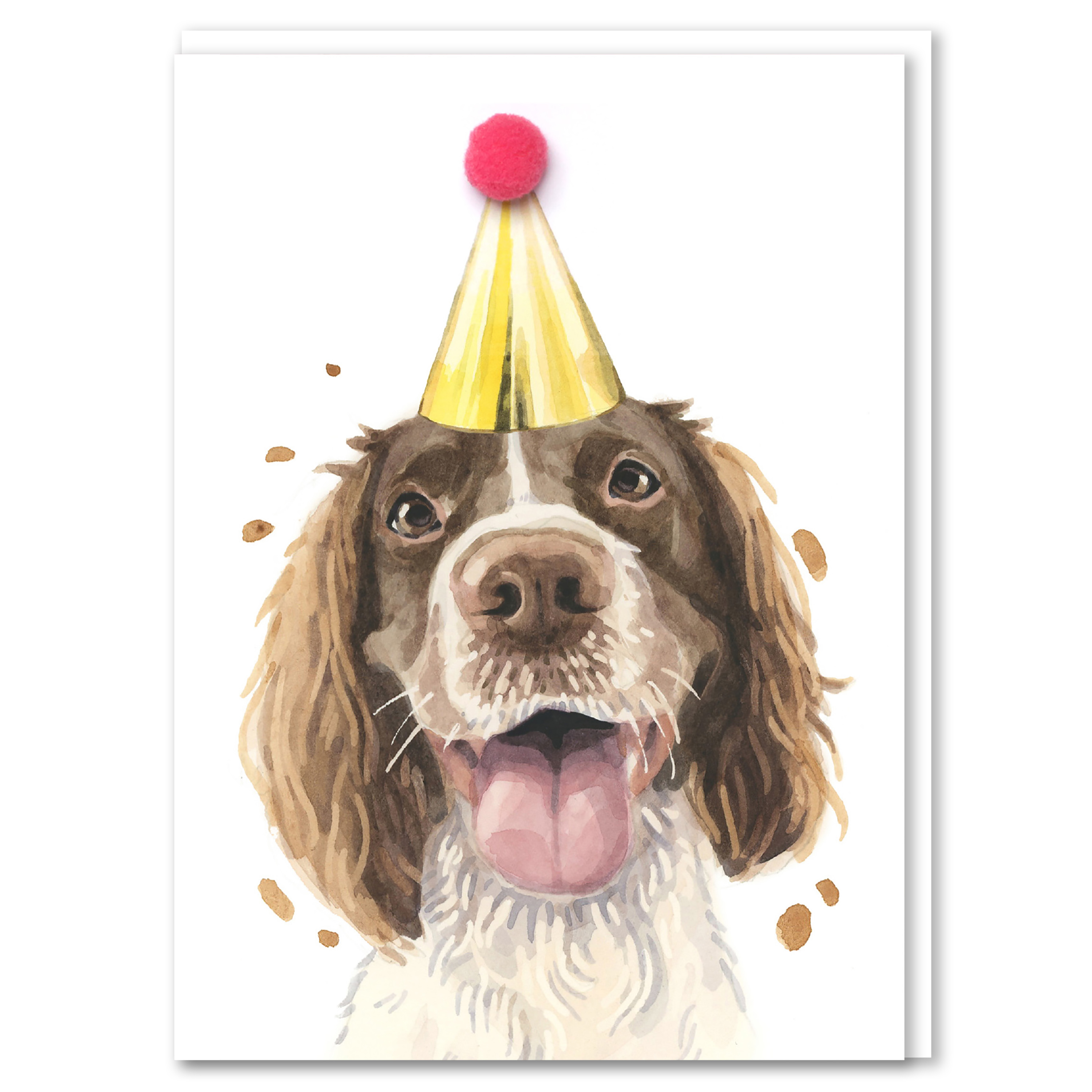 Robert James Hull Springer Spaniel Pompom Birthday Card