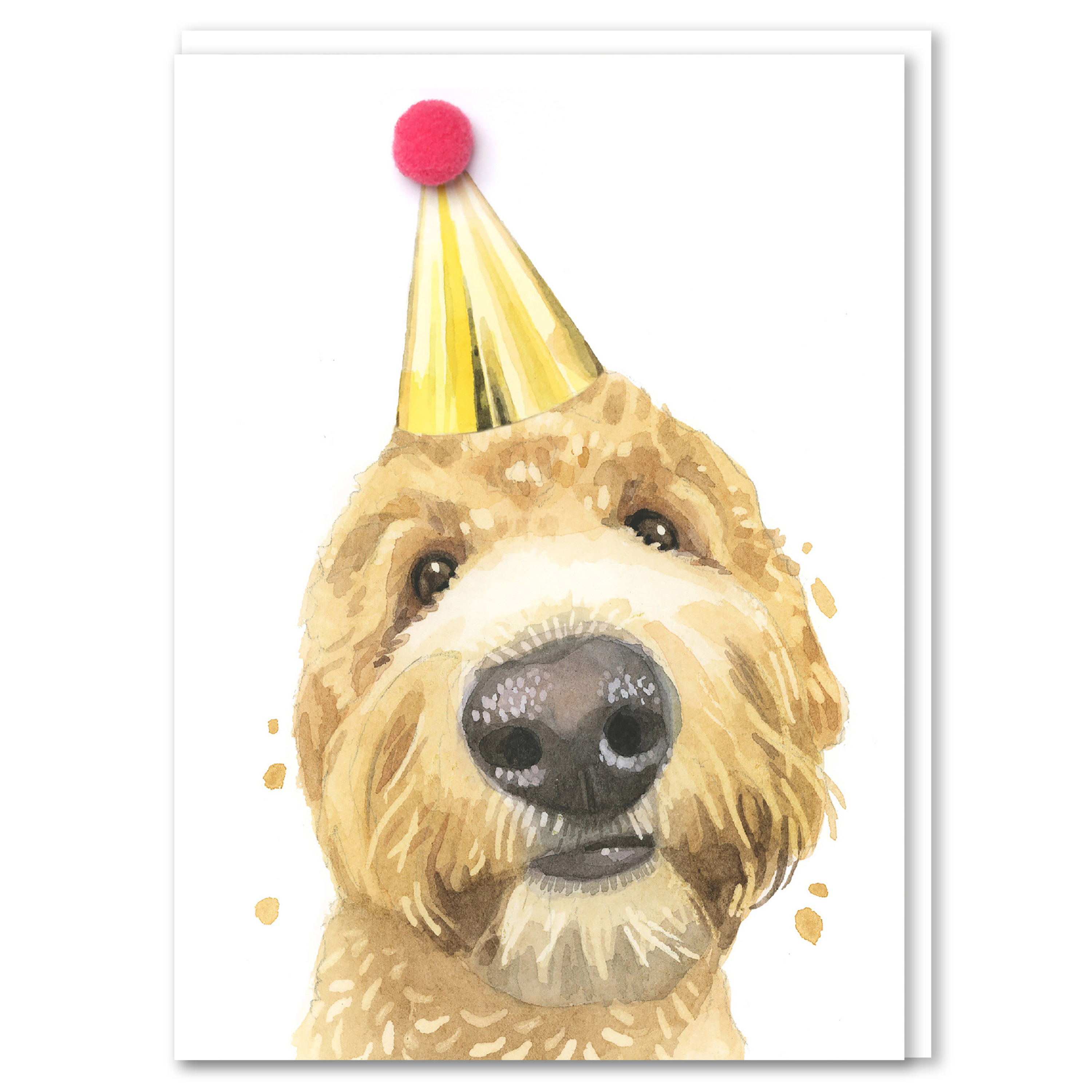 Robert James Hull Golden Doodle Dog Pompom Birthday