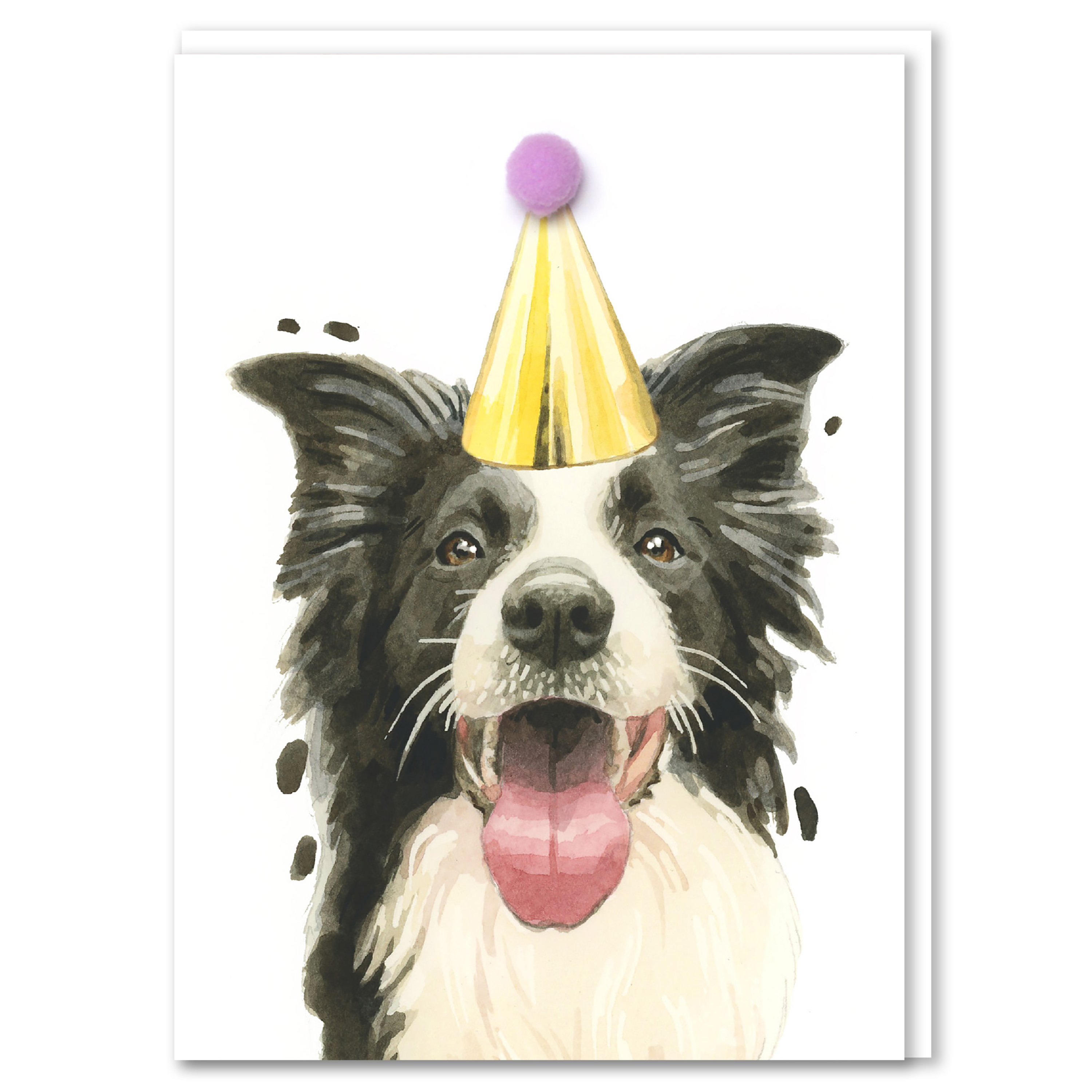 Robert James Hull Border Collie Pompom Birthday Card