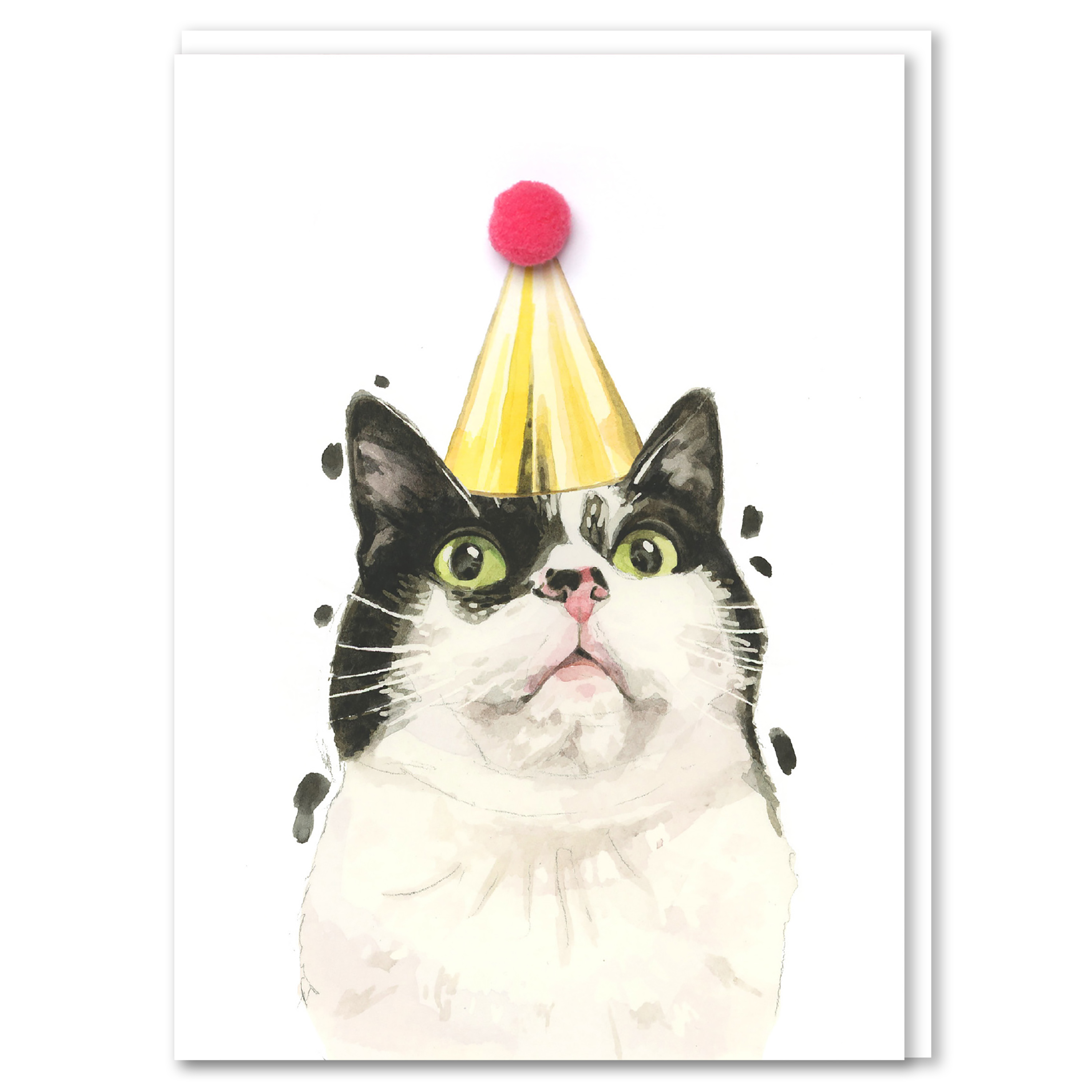 Robert James Hull Black and White Cat Pompom Birthday Card