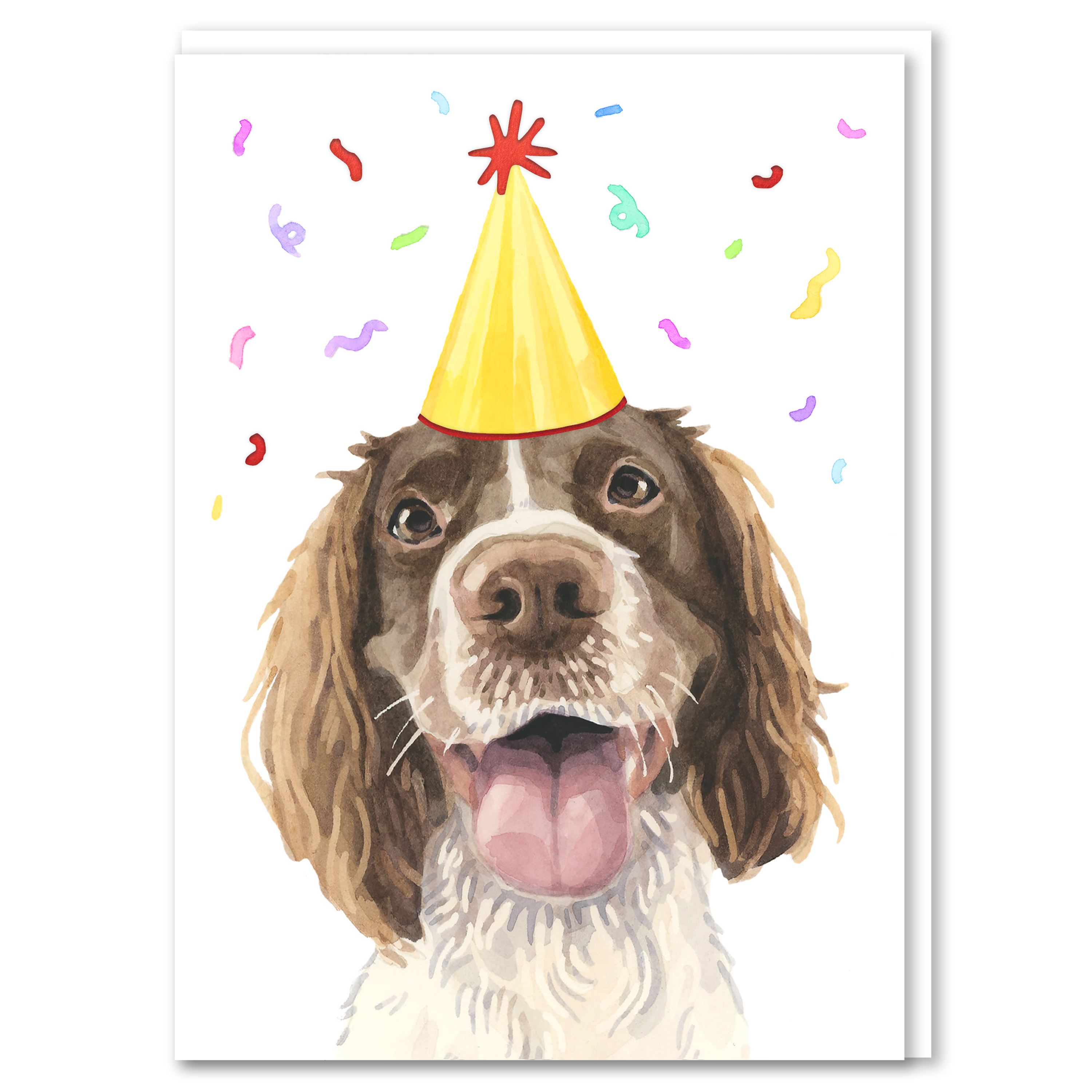 Robert James Hull Springer Spaniel Birthday Card