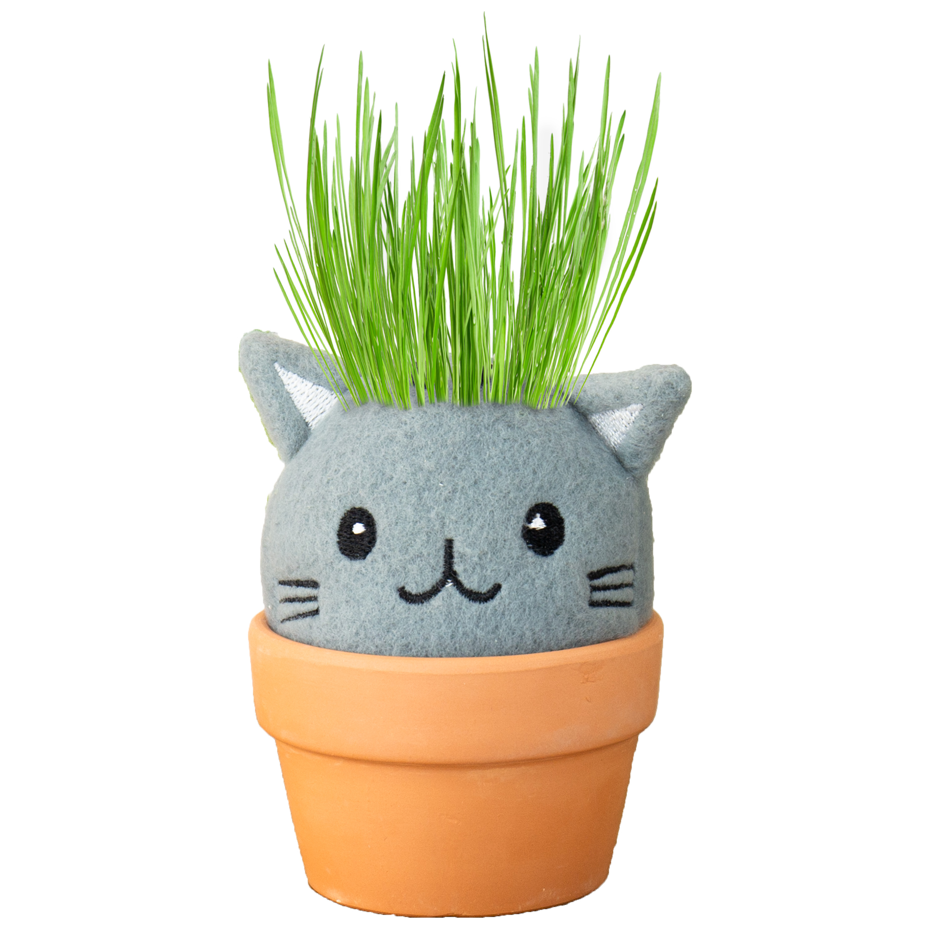 Gift Republic Grow your own Cat Kit Grow pal