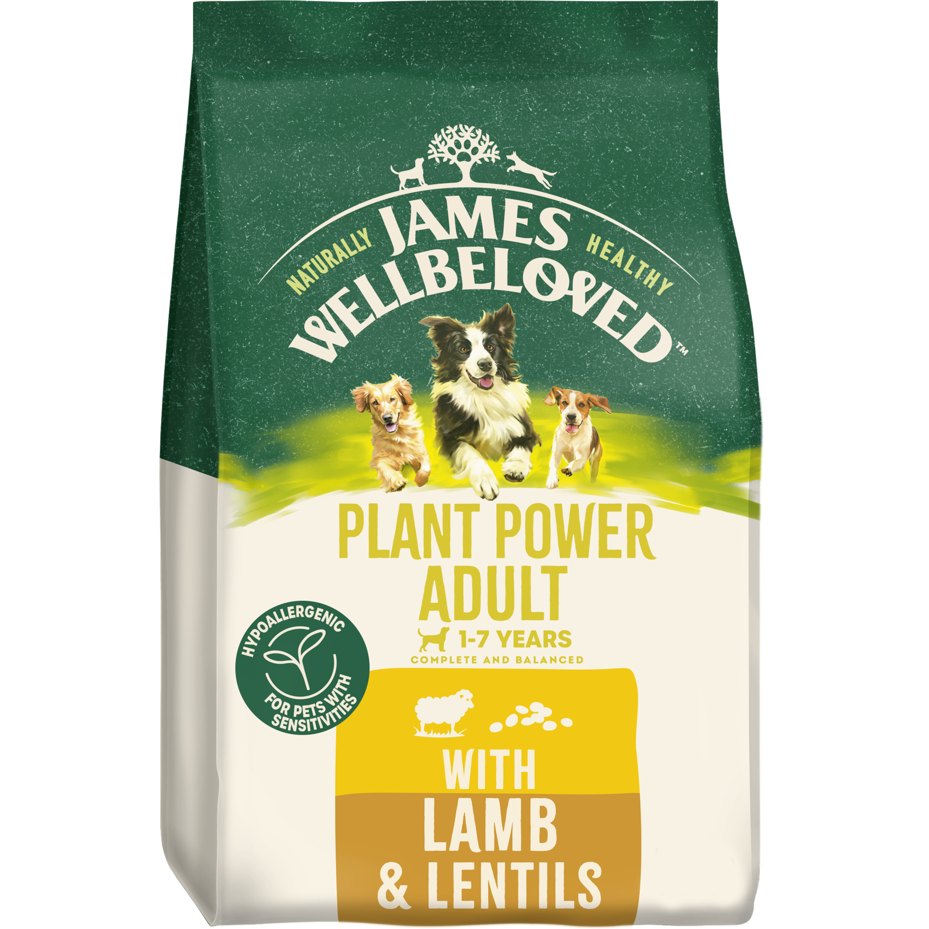 James Wellbeloved Plant Power Adult Dry Dog Food Lamb & Lentils