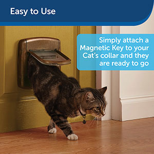 Cat door with magnetic collar hotsell