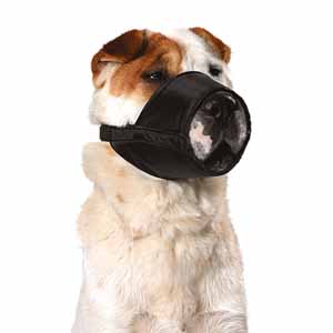 Dog muzzles at pets at home hotsell