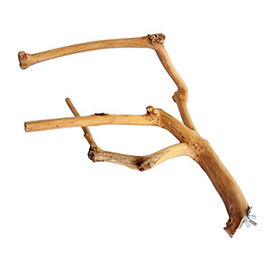 Java Wood MultiBranch Bird Perch Small