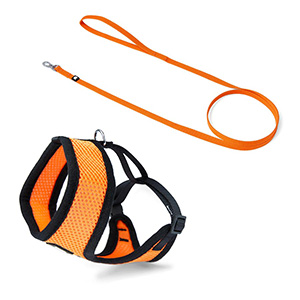Pets at Home Cat Body Harness & Lead