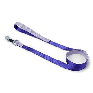 Pets at Home Dual Colour Dog Purple Lead