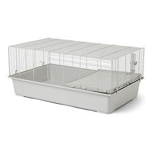 Pet shops at home hamster cage