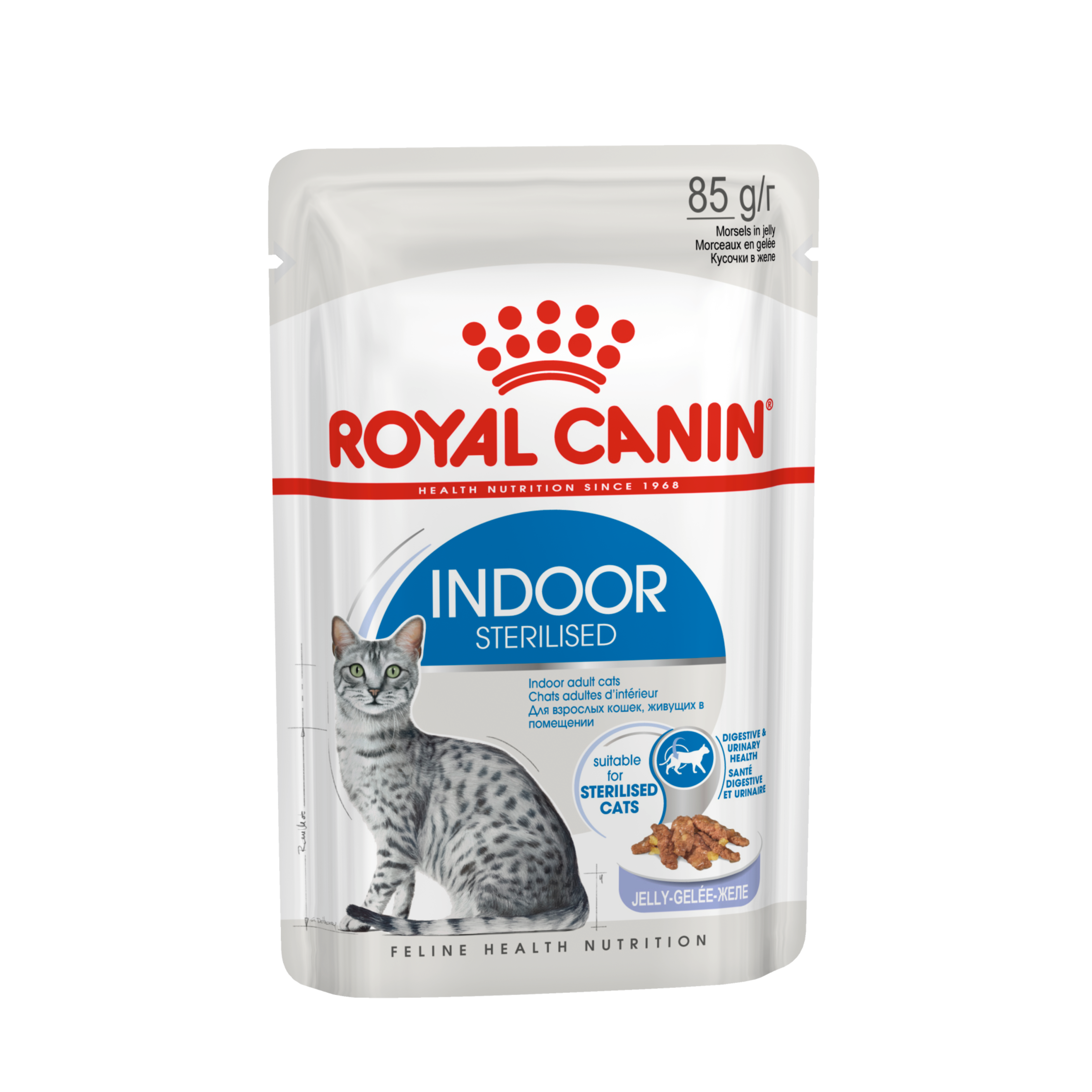 Royal Canin Feline Health Indoor Sterilised Wet Adult Cat Food In Jelly 12 X 85G
