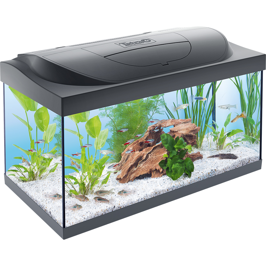 Tetra Starter Line Complete Tropical Aquarium Set