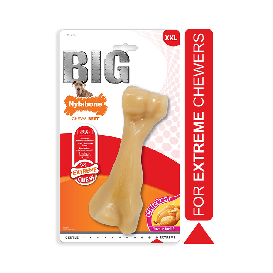 Nylabone Big Chew Beef Flavoured Dog Toy | Pets