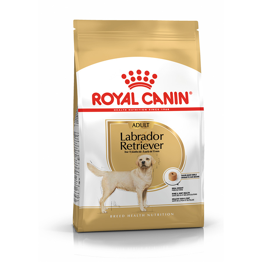 Cheapest royal canin dog food best sale