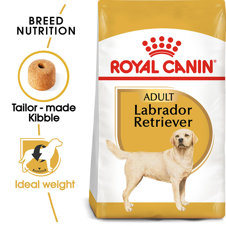 Royal Canin Labrador Retriever Adult Dry Dog Food Pets