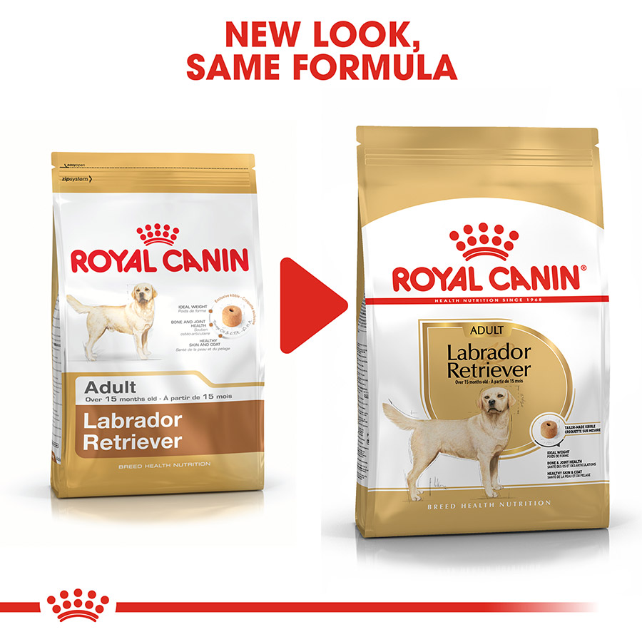 Royal Canin Labrador Retriever Adult Dry Dog Food Pets