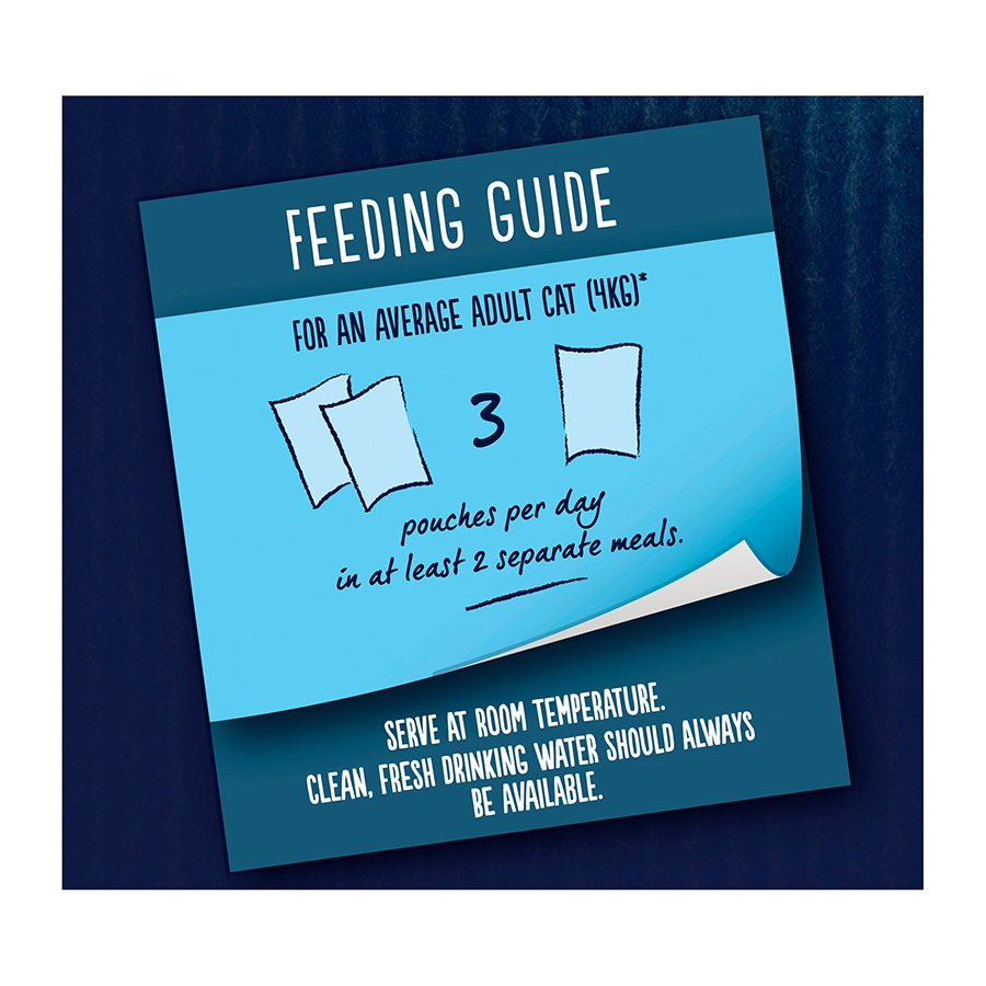 Felix pouches feeding guide best sale