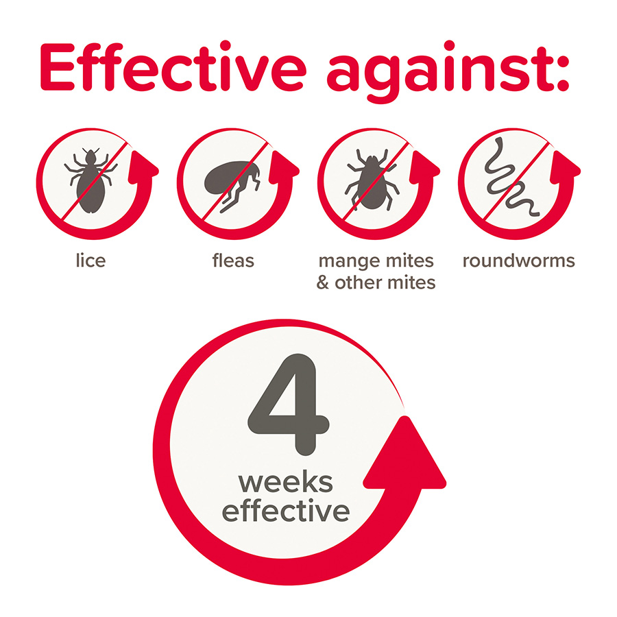 Beaphar Anti Parasite Ivermectin Spot On for Hamsters Gerbils Pets