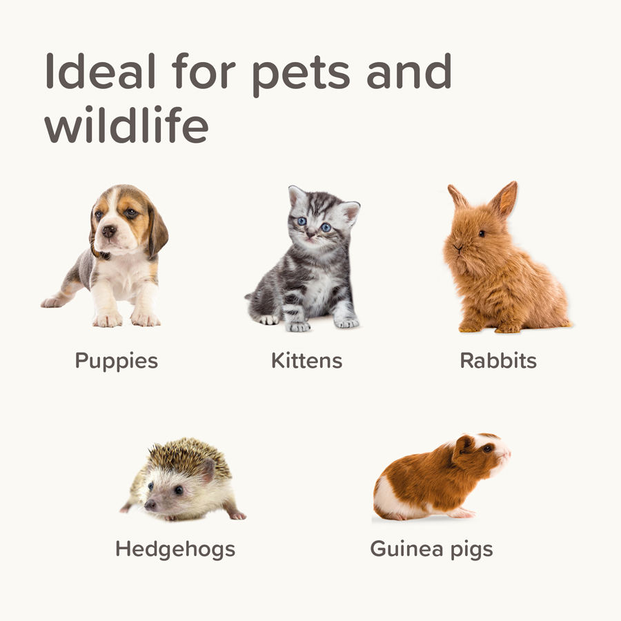 Image slide