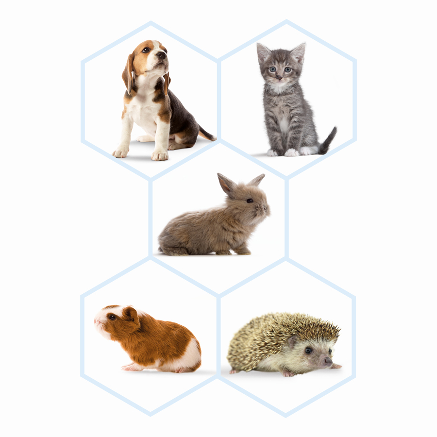 Image slide